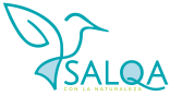 Salqa