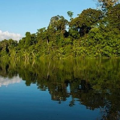 SaveClip.App_118005200_2811099115802681_3403363210509521556_n